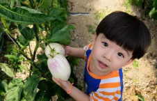 娱乐吃瓜酱关于童年,娱乐吃瓜酱带你重温那些年