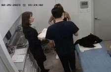 娱乐圈内部人员吃瓜视频,吃瓜视频背后的真实故事